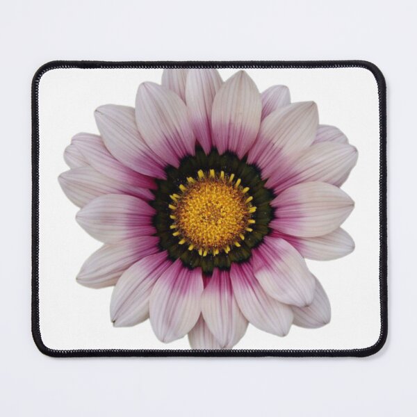Item preview, Gazania flower designed and sold by 77laci.