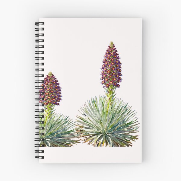 Item preview, Crystal Bloom: Hawaiian Silversword in Full Beauty and Elegance#2 designed and sold by Helios Be. Lavsh.