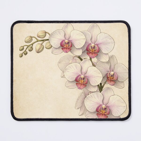 Item preview, Vintage Orchid Botanical Print - Elegant Phalaenopsis Wall Art designed and sold by Darlin8888.