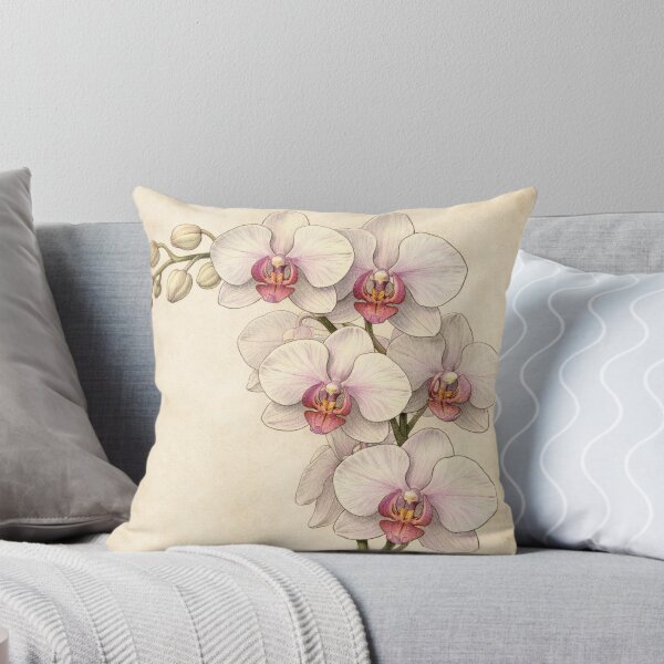 Item preview, Vintage Orchid Botanical Print - Elegant Phalaenopsis Wall Art designed and sold by Darlin8888.