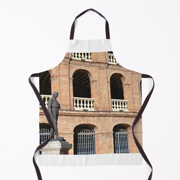 Item preview, Statue of a bullfighter matador in front of the bullfight arena in Valencia, Spain designed and sold by goceris.