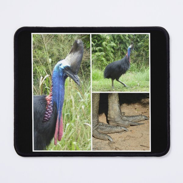 Item preview, Cassowary designed and sold by Gene Arts.