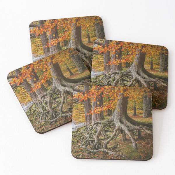 Item preview, "ROOTS" River Tees, The Pennines designed and sold by Martin Stokes Photography.