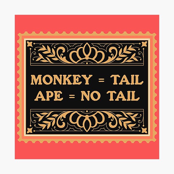 Item preview, Primatology - Monkey Tail Ape No Tail - Primatologist designed and sold by The Sticker Bureau.
