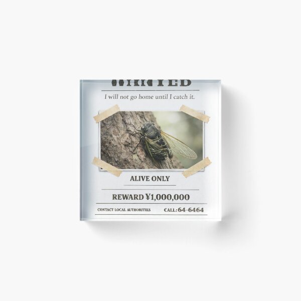 Item preview, Japanese Kuma Cicada WANTED Shirt for Kids – Fun Bug Hunter Gift designed and sold by Japanese Bug Hunter.