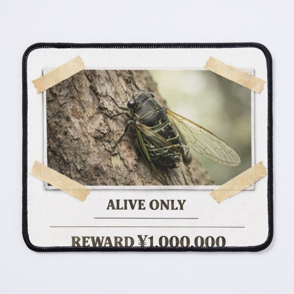 Item preview, Japanese Kuma Cicada WANTED Shirt for Kids – Fun Bug Hunter Gift designed and sold by Japanese Bug Hunter.