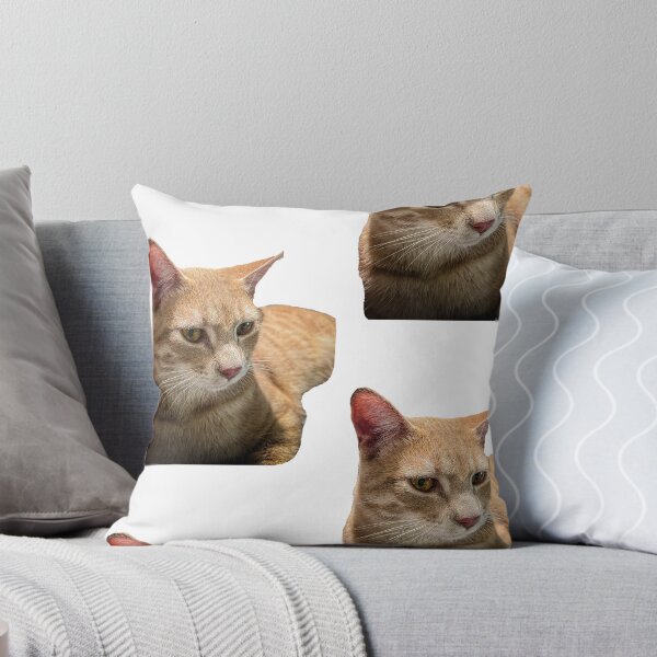 Item preview, Orange Cat  designed and sold by Luz Villarreal.
