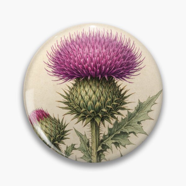 Item preview, Vintage Thistle Botanical Print - Antique Wildflower Wall Art designed and sold by Darlin8888.