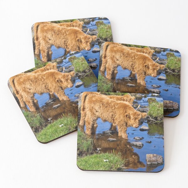 Item preview, Hairy Coo Calf at Duirinish Lochalsh Scotland. designed and sold by PhotosEcosse.