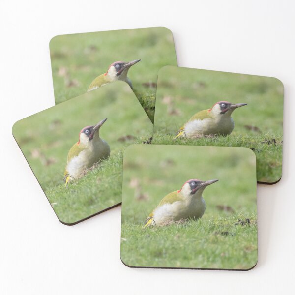 Item preview, Eurasian Green Woodpecker designed and sold by LaurenTucker.