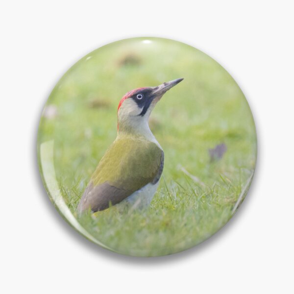 Item preview, Eurasian Green Woodpecker designed and sold by LaurenTucker.