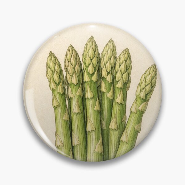 Item preview, Asparagus Vintage Botanical Print - Antique Kitchen Wall Art designed and sold by Darlin8888.