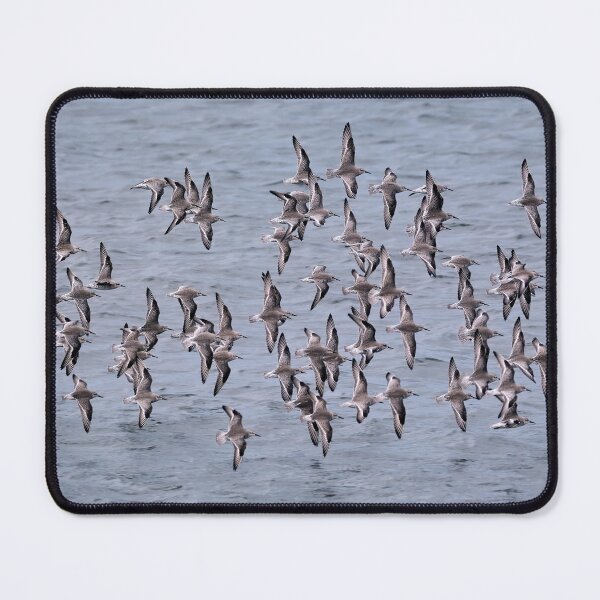 Item preview, Knots in Flight designed and sold by Tom McPherson Photography.