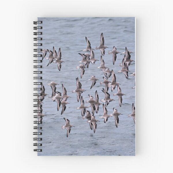 Item preview, Knots in Flight designed and sold by Tom McPherson Photography.
