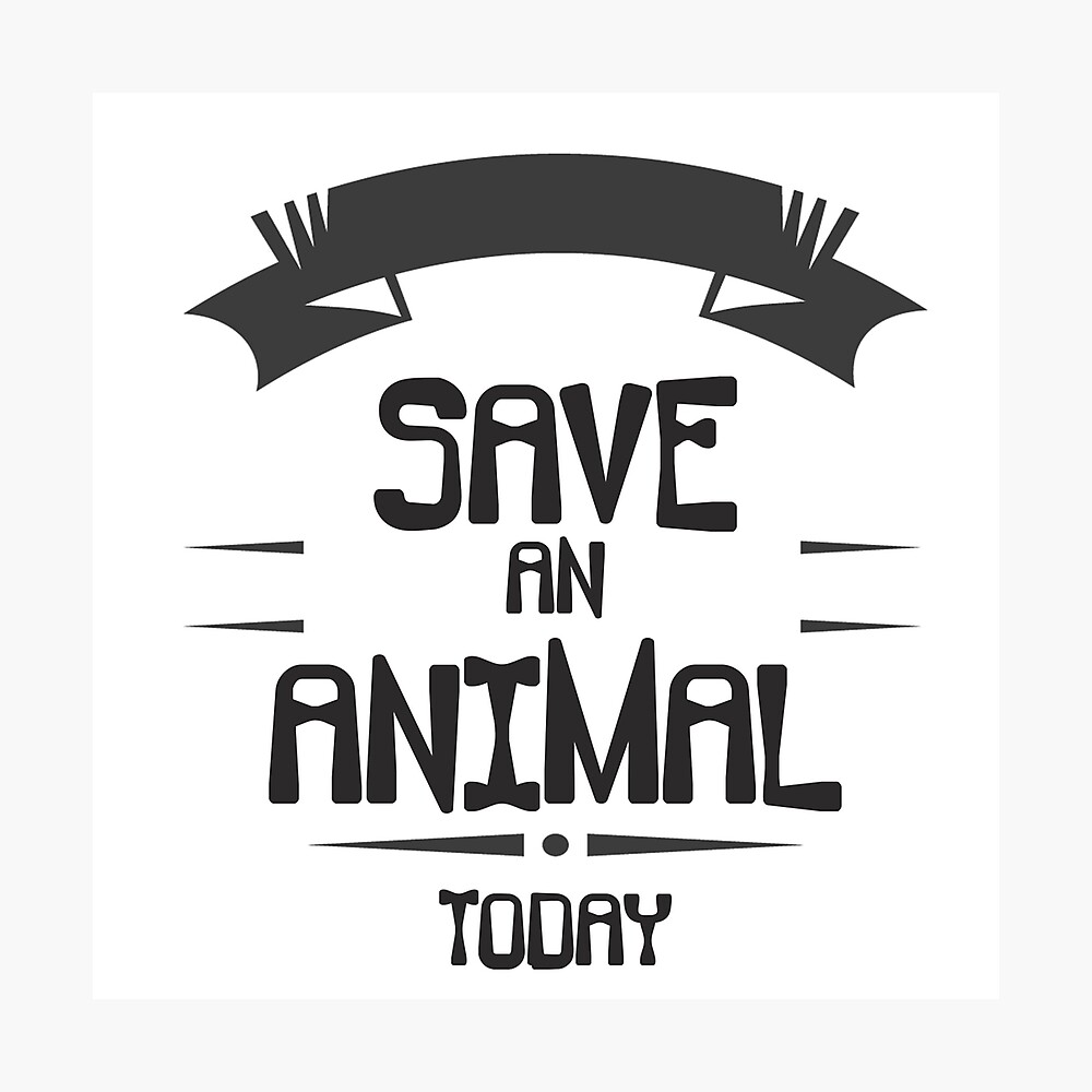 animal welfare animal welfare