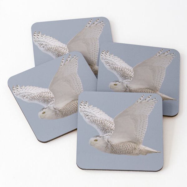 Item preview, Snowy Owl in flight designed and sold by Steve Liffmann Photography.
