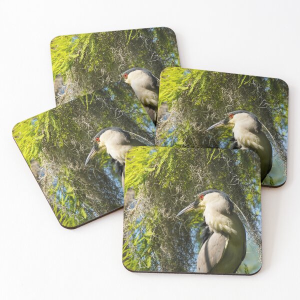 Item preview, Night heron in the cypress grove designed and sold by RikitikiTravi.