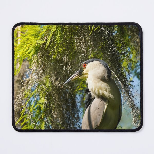 Item preview, Night heron in the cypress grove designed and sold by RikitikiTravi.