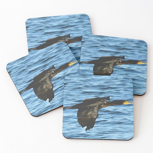 Item preview, Cormorant cruising  designed and sold by Glennphotos.