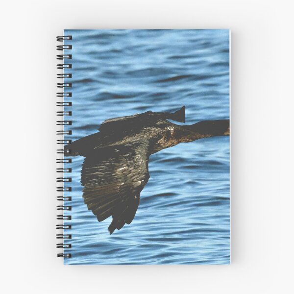 Item preview, Cormorant cruising  designed and sold by Glennphotos.