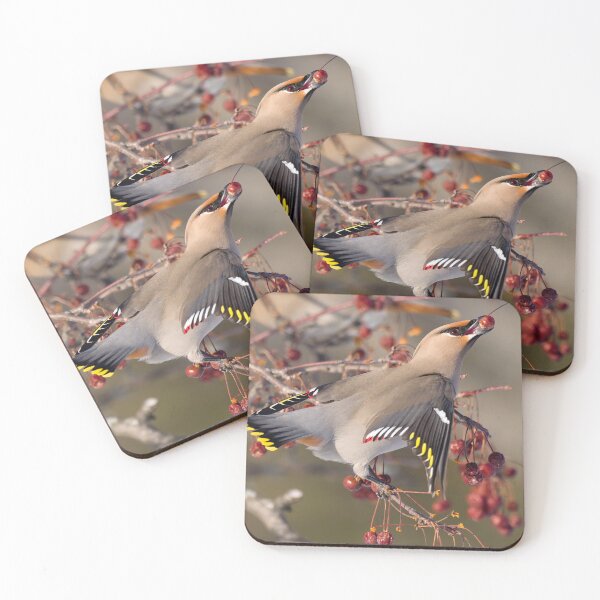 Item preview, Bohemian Waxwing designed and sold by Steve Liffmann Photography.