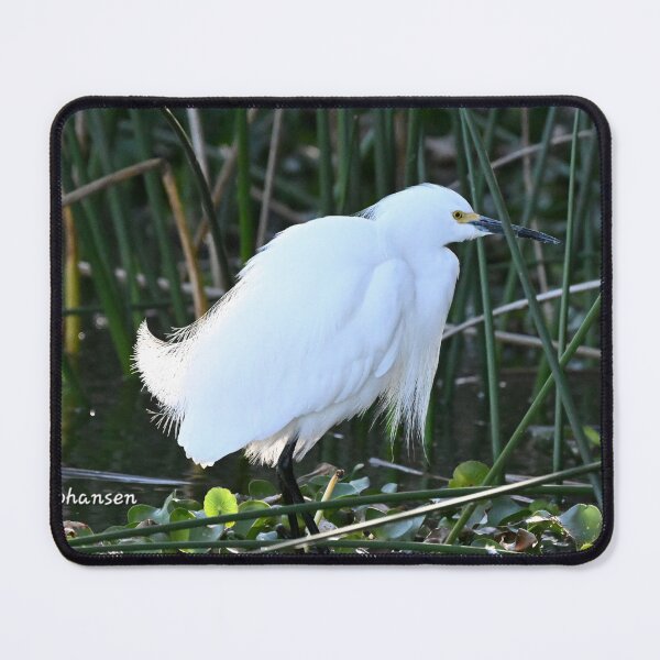 Item preview, Snowy designed and sold by Glennphotos.