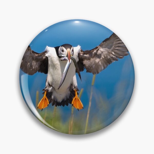 Item preview, Atlantic Puffin designed and sold by Steve Liffmann Photography.