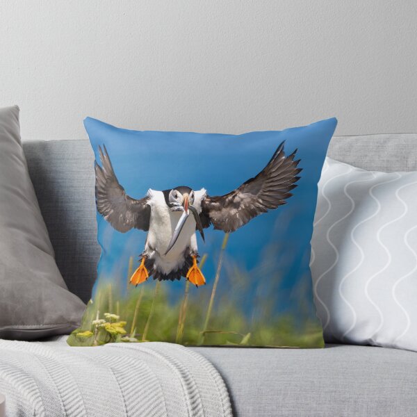 Item preview, Atlantic Puffin designed and sold by Steve Liffmann Photography.