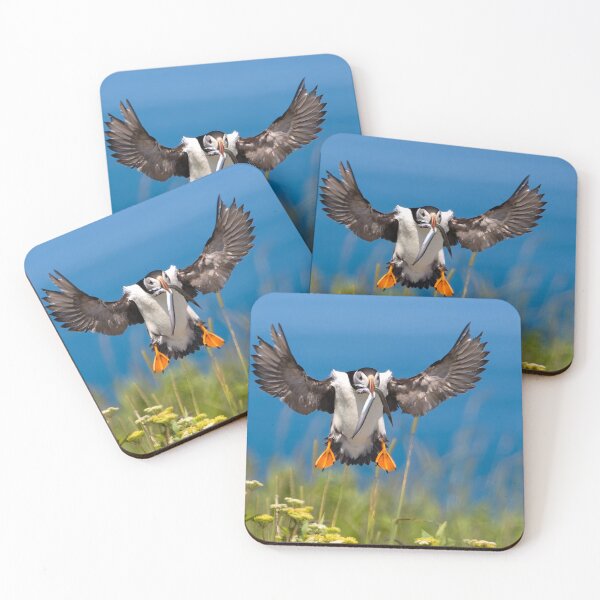 Item preview, Atlantic Puffin designed and sold by Steve Liffmann Photography.