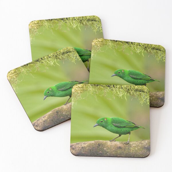 Item preview, Tangara verde brillante designed and sold by Steve Liffmann Photography.