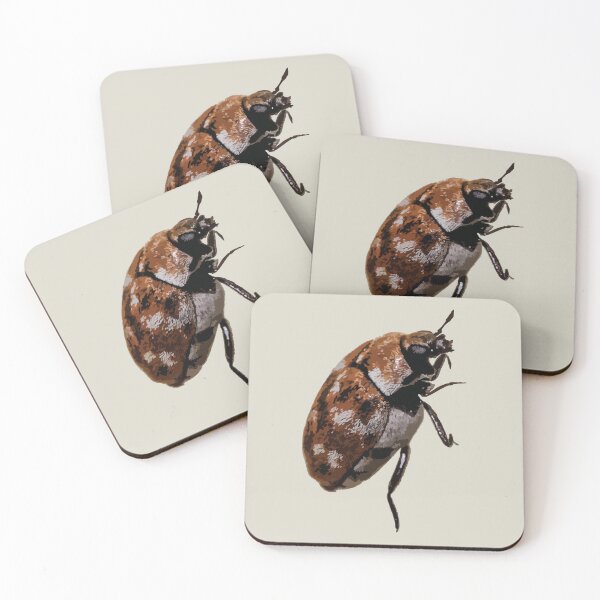 Item preview, Detailed Beetle Illustration Entomology Art designed and sold by Arturo Daniel Garcia Palomo.
