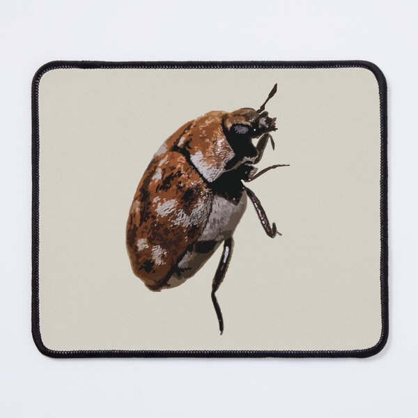 Item preview, Detailed Beetle Illustration Entomology Art designed and sold by Arturo Daniel Garcia Palomo.
