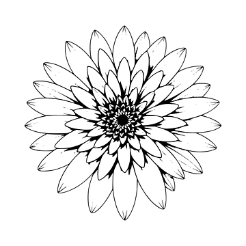 Artwork thumbnail, Gerber Daisy by GraphicsClub