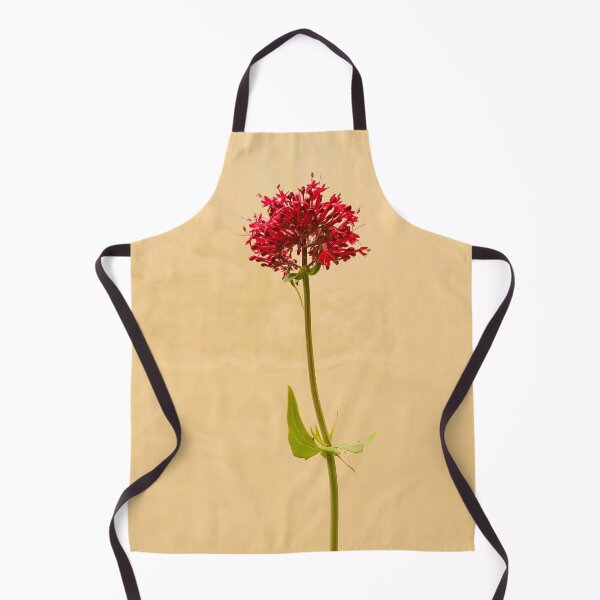 Item preview, RED VALERIAN FLOWER ON PARCHMENT designed and sold by Richard Brookes Photography.