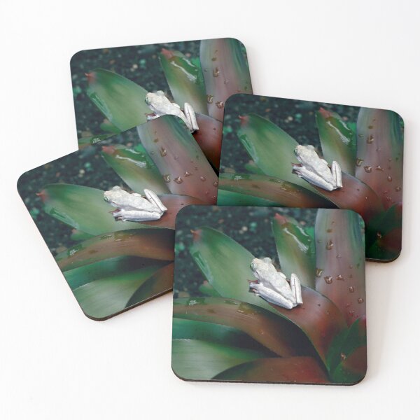 Item preview, Guardian of the Bromeliad - Tropical Frog designed and sold by FrameForm.