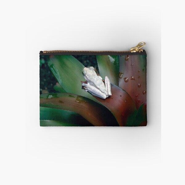 Item preview, Guardian of the Bromeliad - Tropical Frog designed and sold by FrameForm.