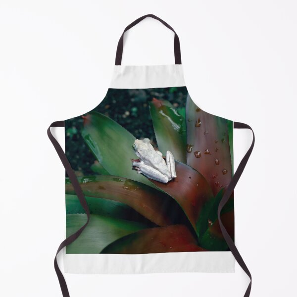 Item preview, Guardian of the Bromeliad - Tropical Frog designed and sold by FrameForm.