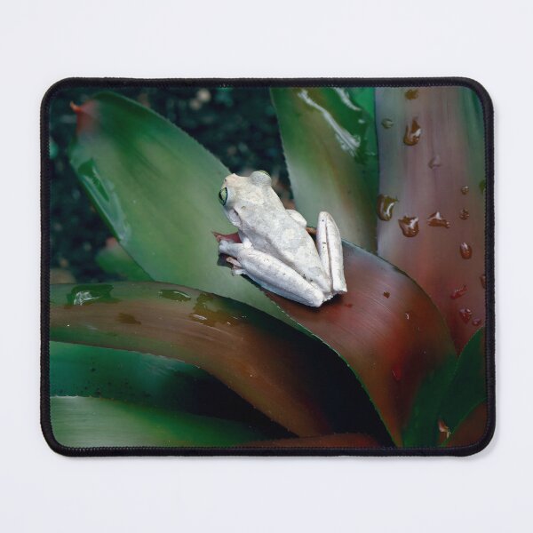 Item preview, Guardian of the Bromeliad - Tropical Frog designed and sold by FrameForm.