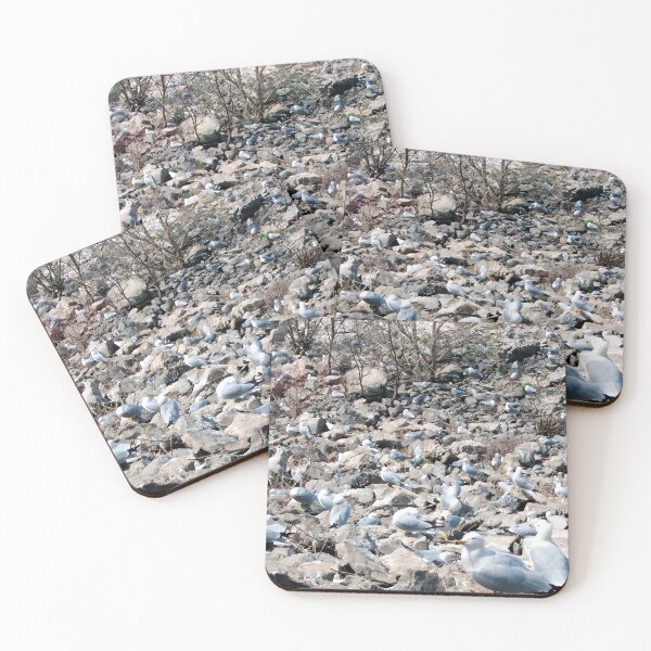Item preview, Seagull Colony designed and sold by FrameForm.