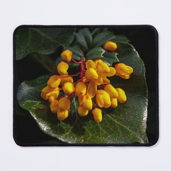 Item preview, YELLOW BERBERIS FLOWERS ON GREEN LEAF designed and sold by Richard Brookes Photography.