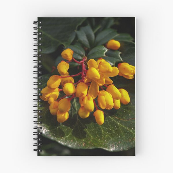 Item preview, YELLOW BERBERIS FLOWERS ON GREEN LEAF designed and sold by Richard Brookes Photography.