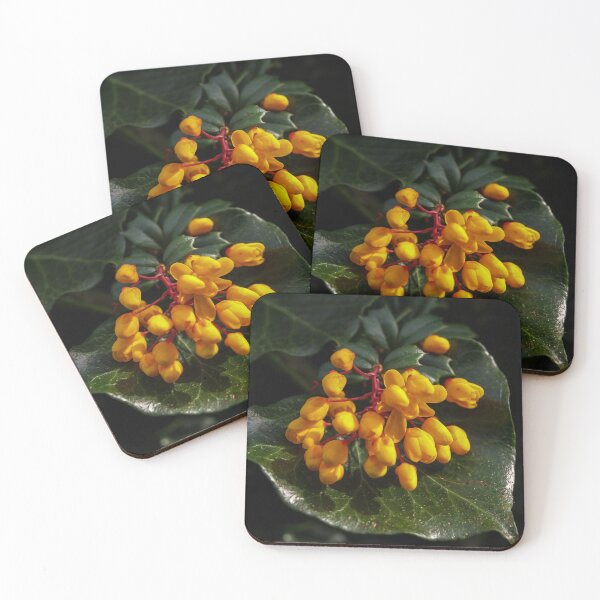 Item preview, YELLOW BERBERIS FLOWERS ON GREEN LEAF designed and sold by Richard Brookes Photography.
