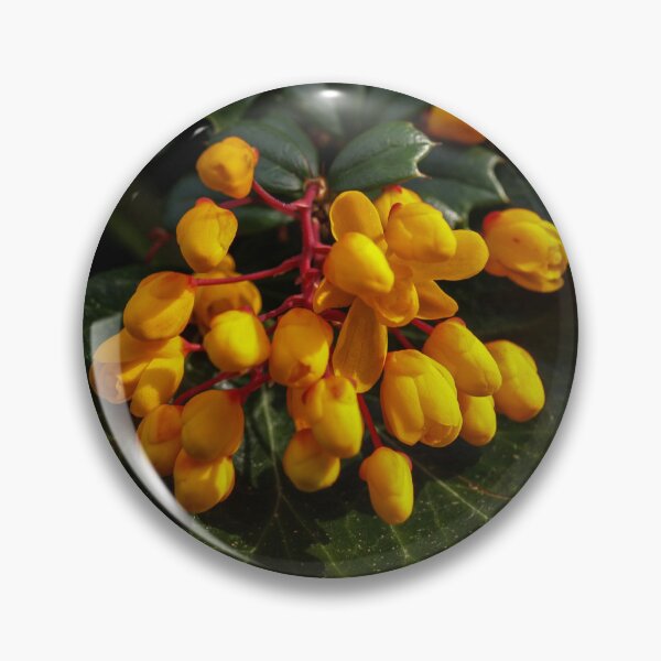 Item preview, YELLOW BERBERIS FLOWERS ON GREEN LEAF designed and sold by Richard Brookes Photography.
