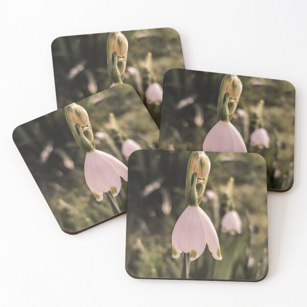 Item preview, WHITE SUMMER SNOWFLAKE SPRING FLOWER designed and sold by Richard Brookes Photography.