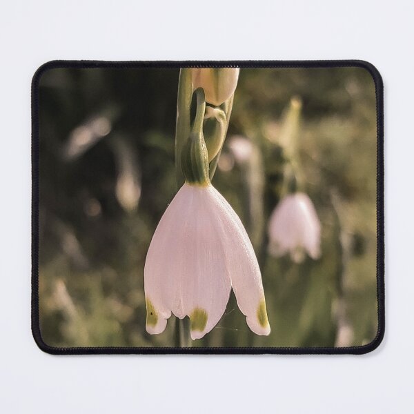 Item preview, WHITE SUMMER SNOWFLAKE SPRING FLOWER designed and sold by Richard Brookes Photography.
