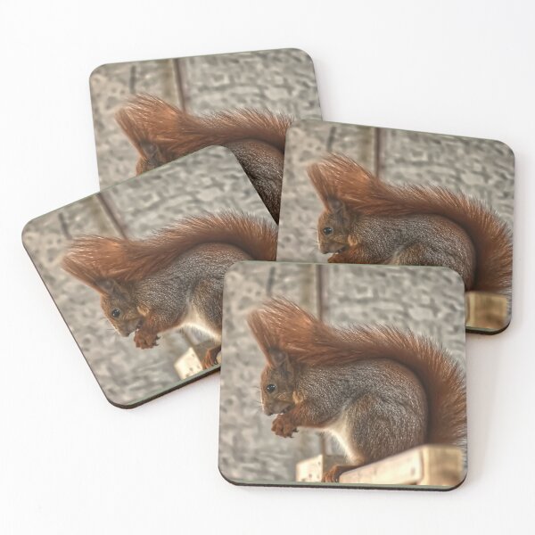 Item preview, Eating Squirrel designed and sold by StylishDecor.