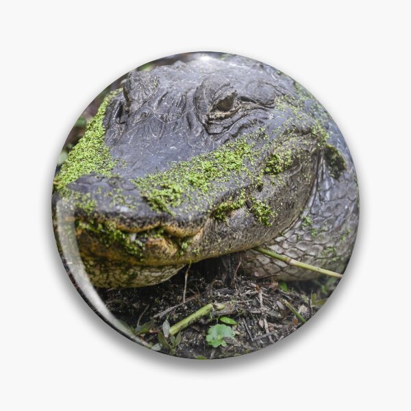 Item preview, I've been slimed  designed and sold by Glennphotos.