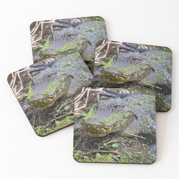 Item preview, I've been slimed  designed and sold by Glennphotos.