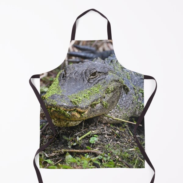 Item preview, I've been slimed designed and sold by Glennphotos.