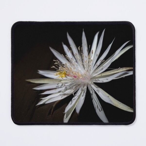 Item preview, Night orchid designed and sold by RikitikiTravi.